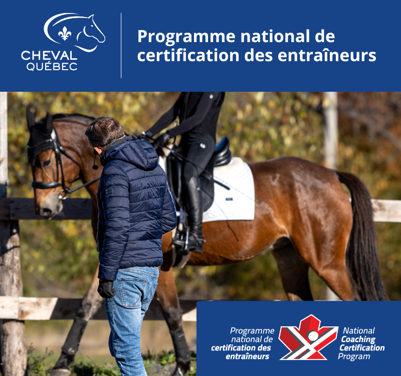 Entraîneur de compétition spécialiste PNCE/CE en Dressage
